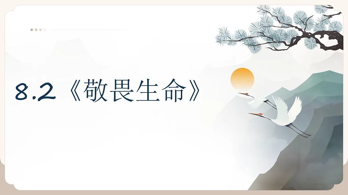 17526154第2页