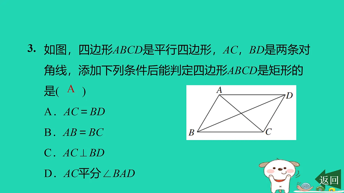 17526481第5页