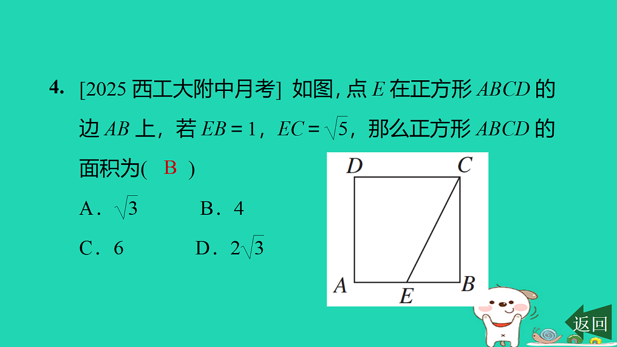 17526482第5页