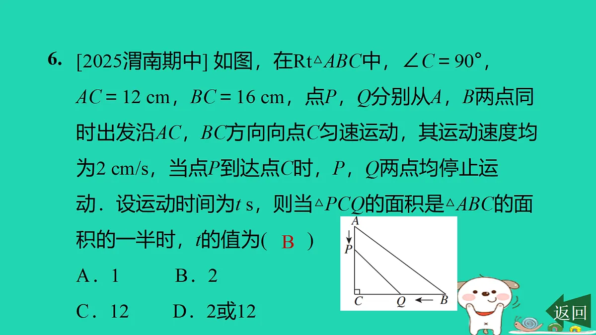 17526492第8页