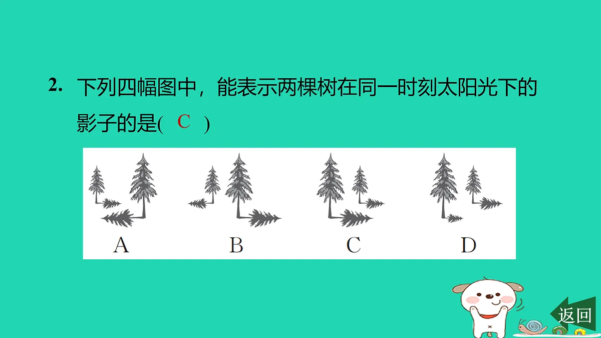 17526513第3页