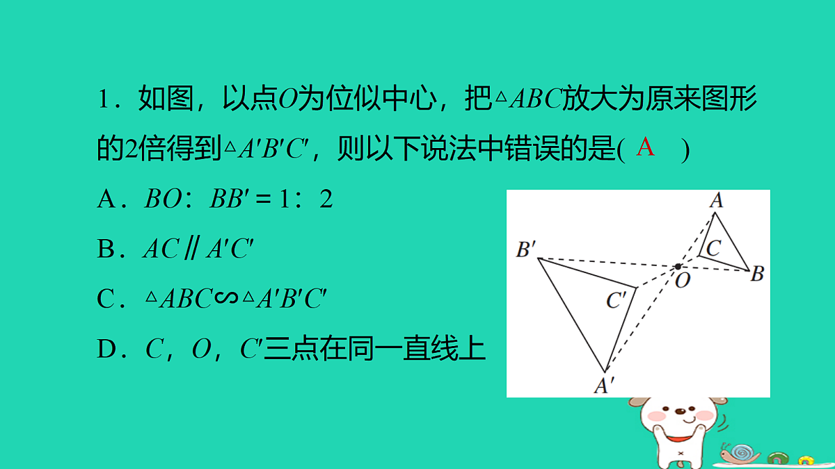 17526564第2页