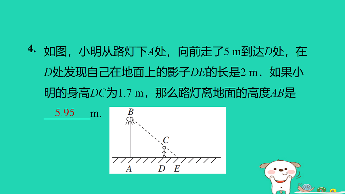 17526566第6页