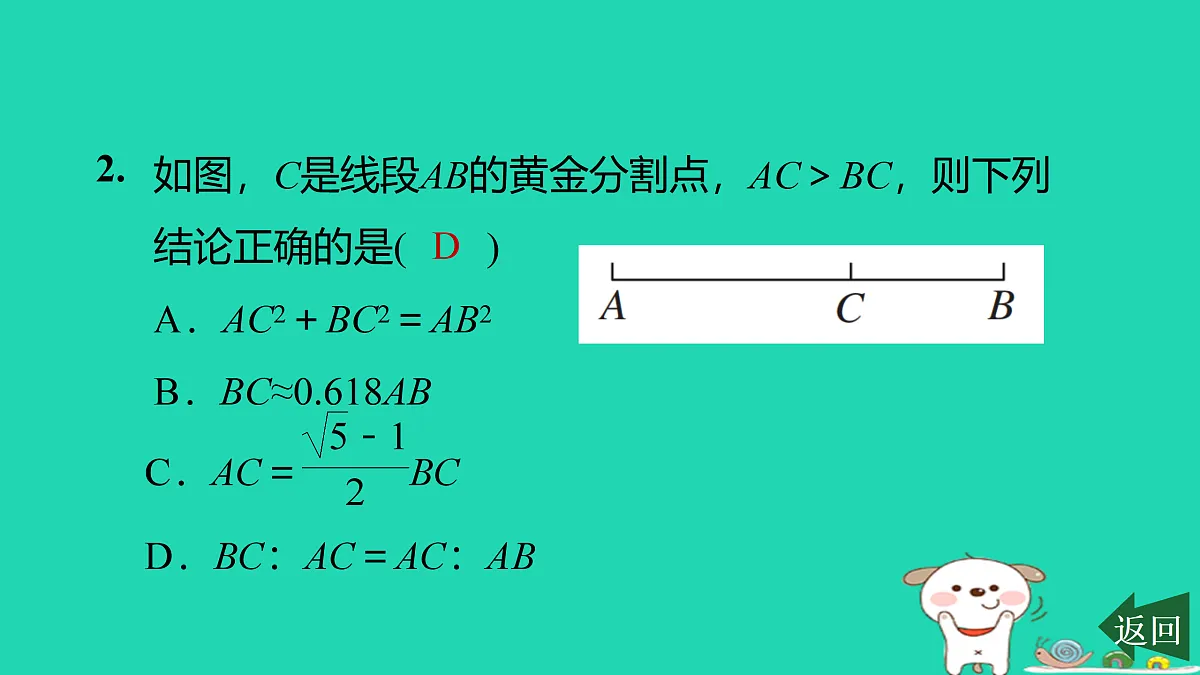 17526581第3页
