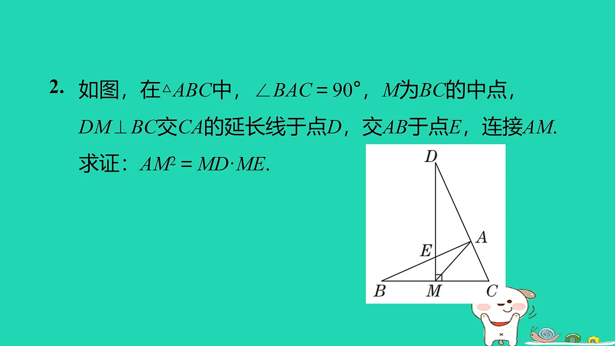 17526586第3页