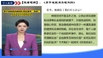 初中政治 (道德与法治)人教版（2024）八年级上册（2024）第三单元 勇担社会责任第七课 追求自由平等珍视自由图片ppt课件