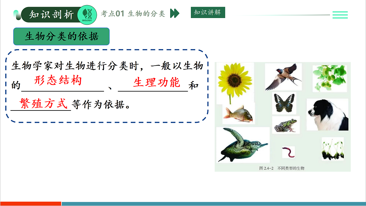 第二单元第四章 科学分类有助于认识和研究生物(复习课件)第4页