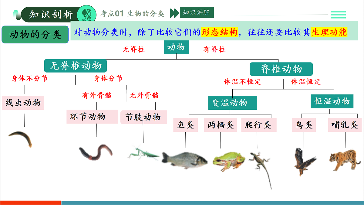 第二单元第四章 科学分类有助于认识和研究生物(复习课件)第6页