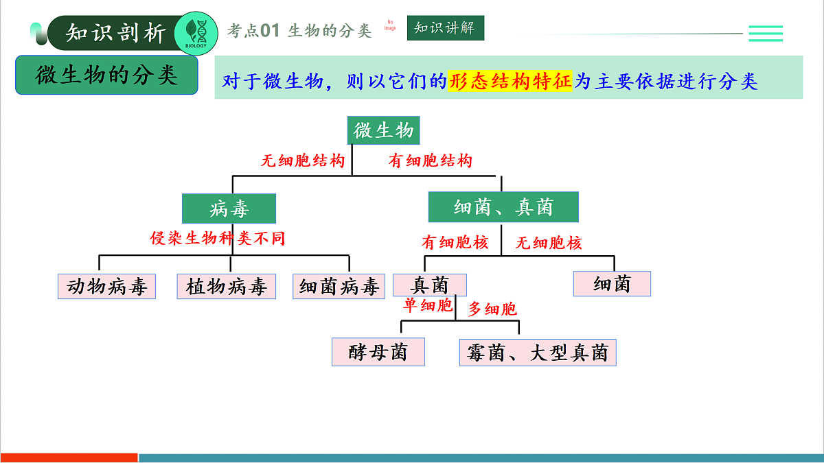 第二单元第四章 科学分类有助于认识和研究生物(复习课件)第7页