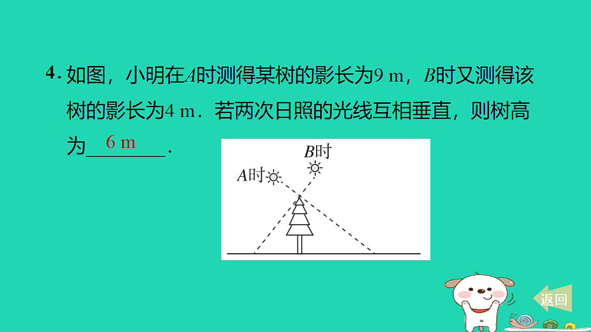 17527901第5页