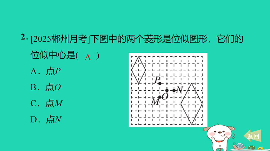 17527903第3页