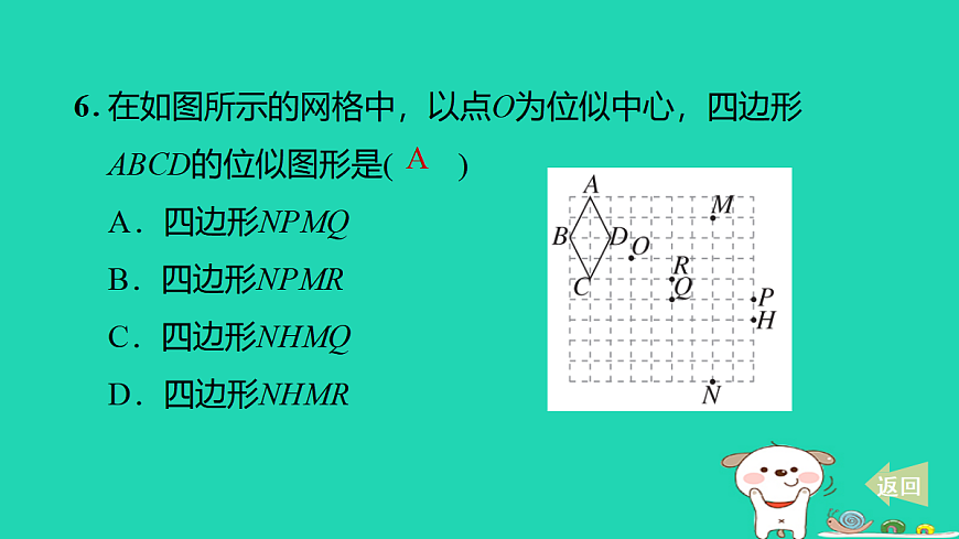 17527903第8页