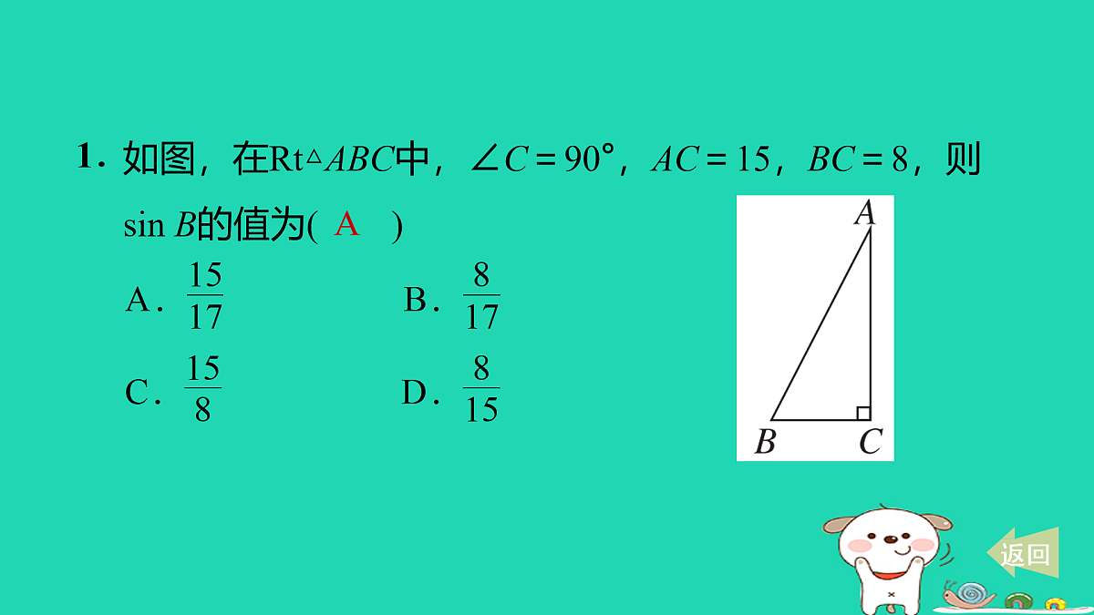 17527905第2页