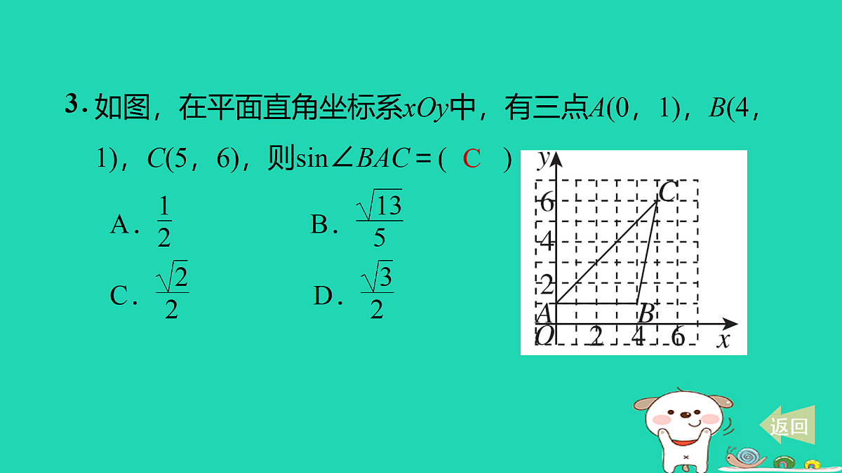 17527905第4页