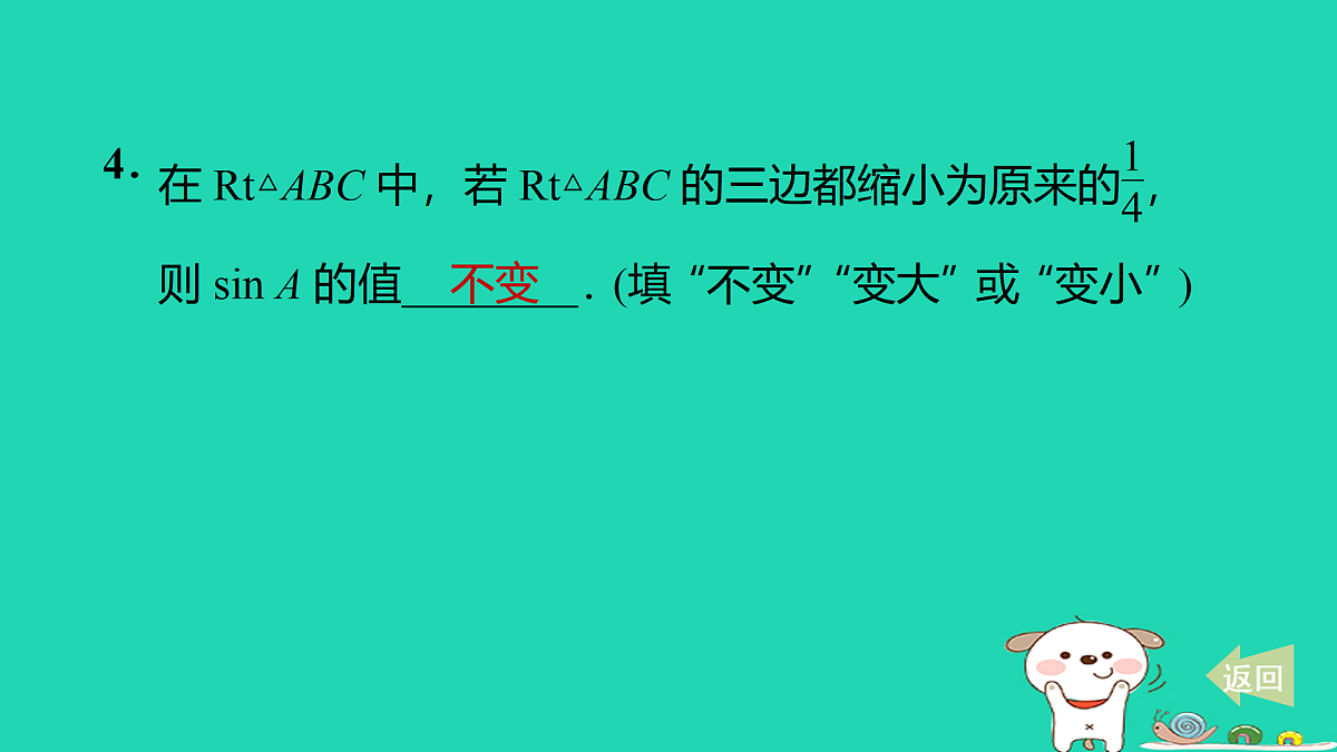 17527905第5页