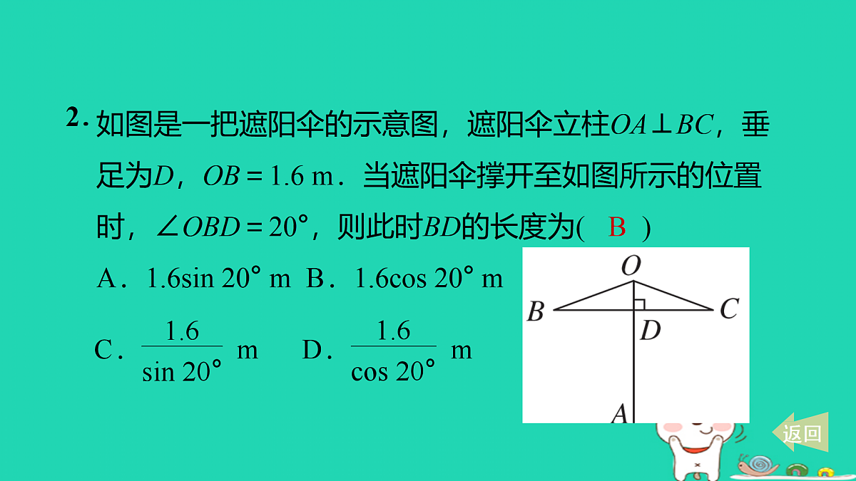 17527907第3页