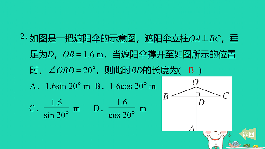 17527907第3页