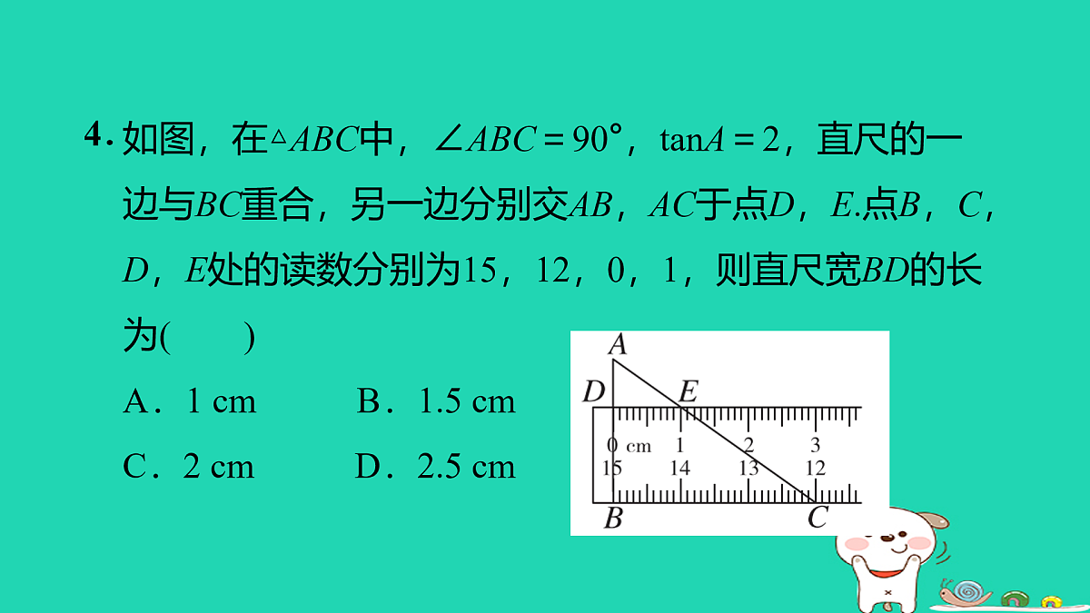 17527913第5页