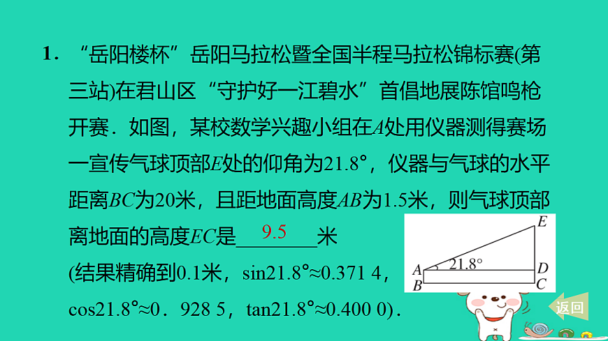 17527948第3页