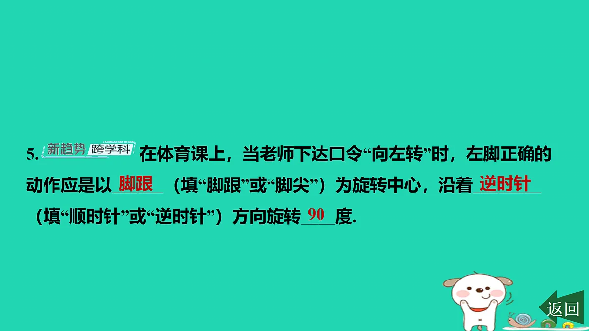 17527992第6页