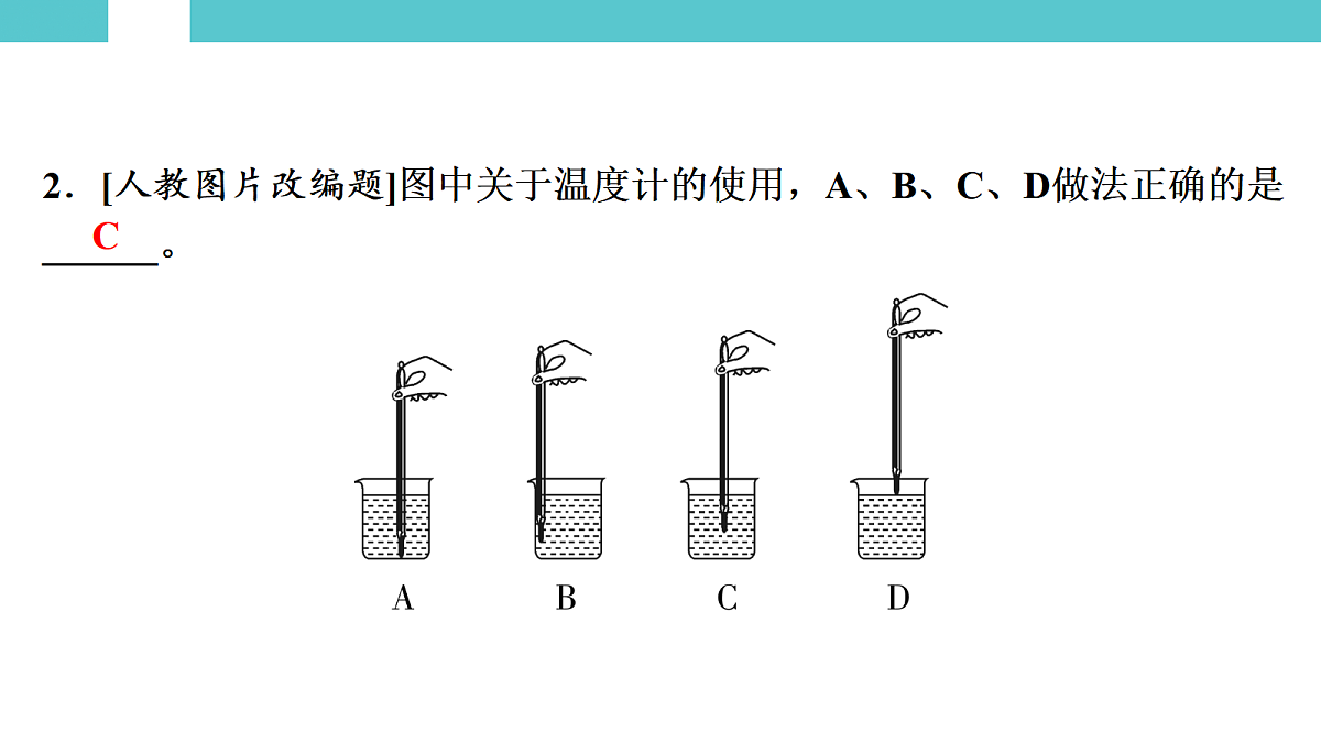 17530351第7页