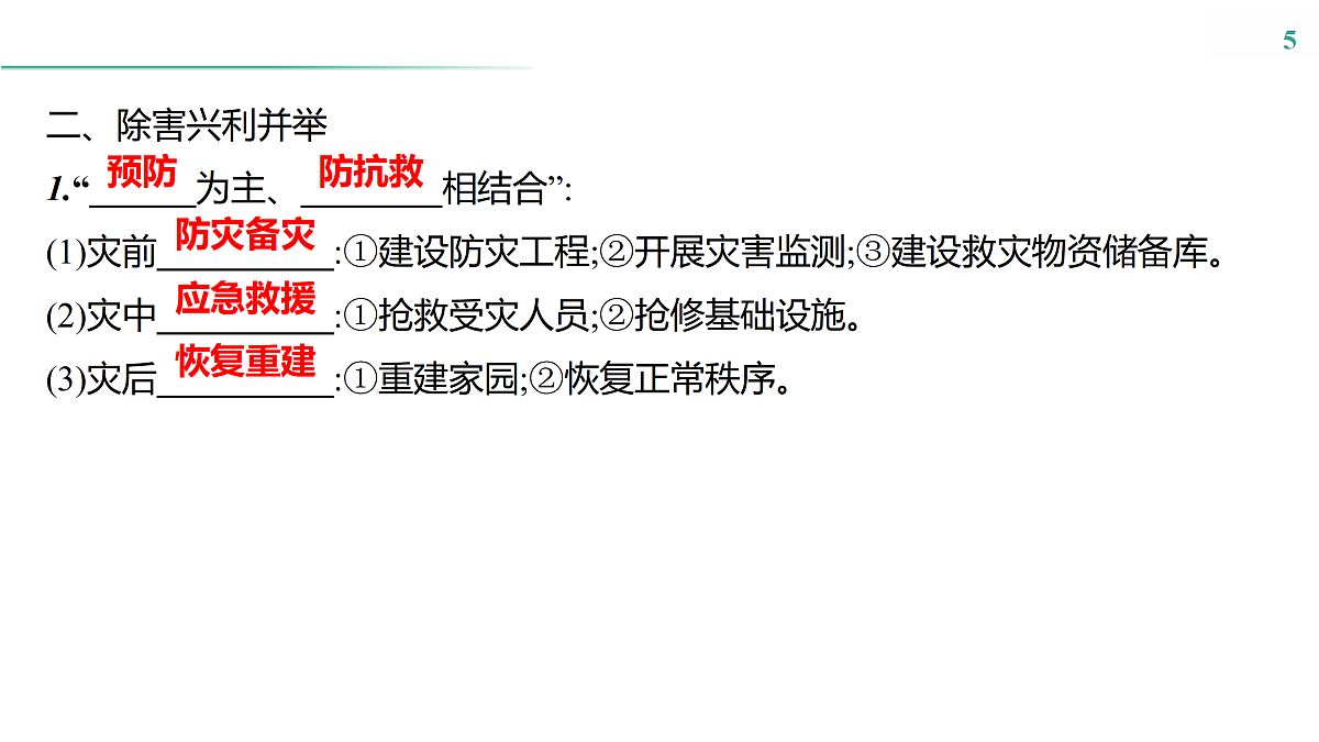 17531671第5页