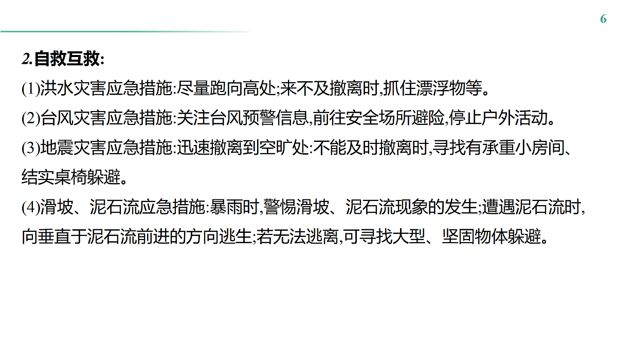 17531671第6页