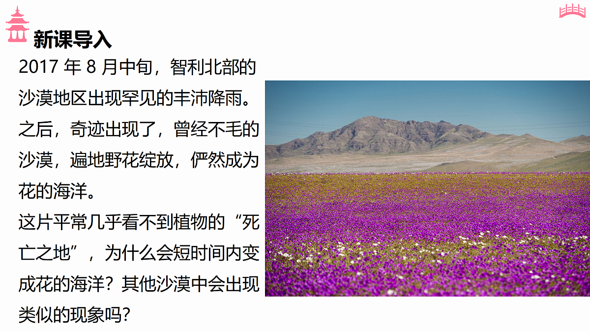 17533093第2页