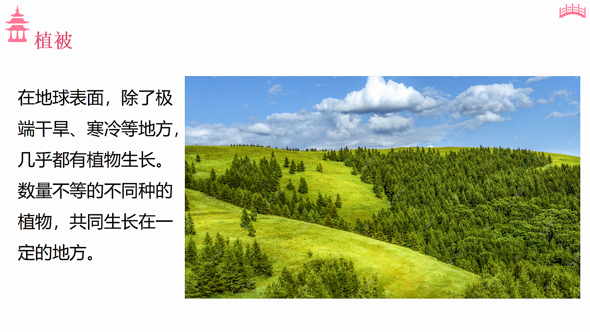 17533093第7页