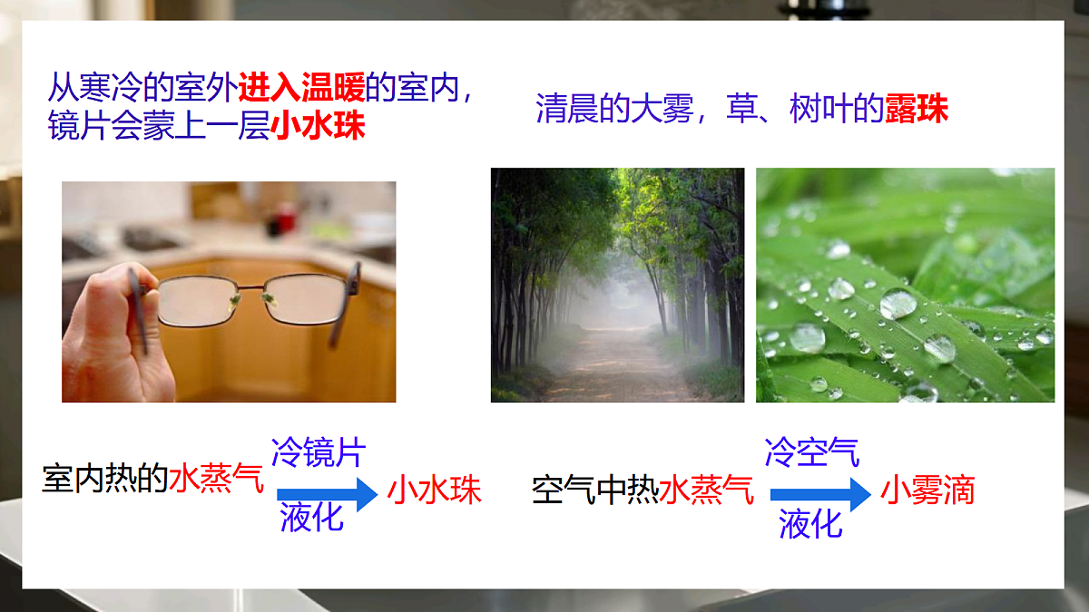 17533275第4页