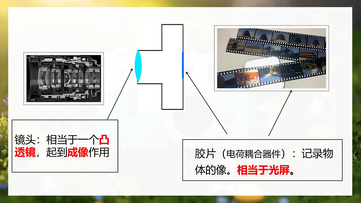 17533284第5页