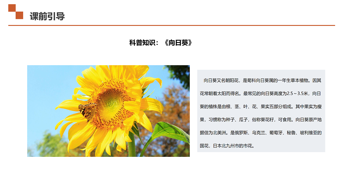 17533292第4页