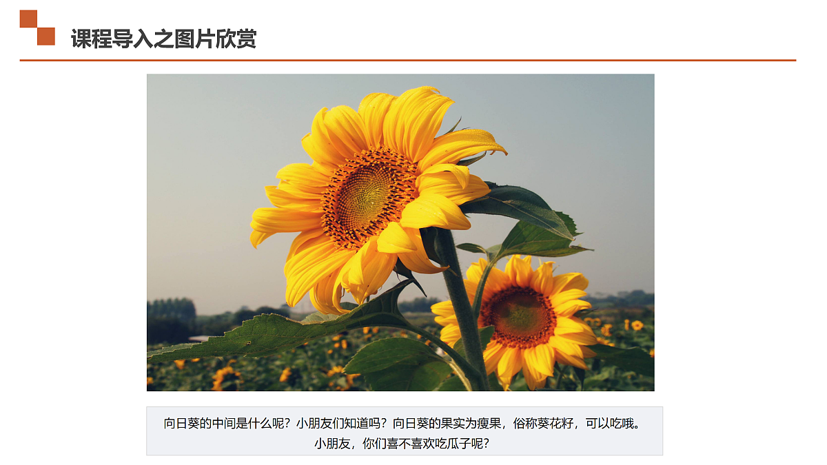 17533292第7页