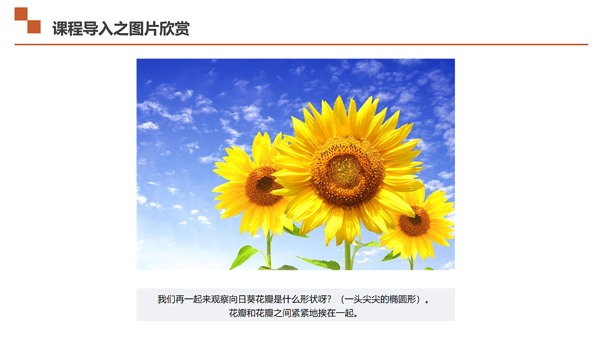 17533292第8页