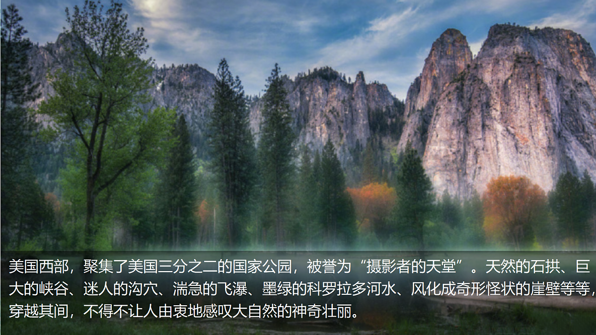 17533652第3页