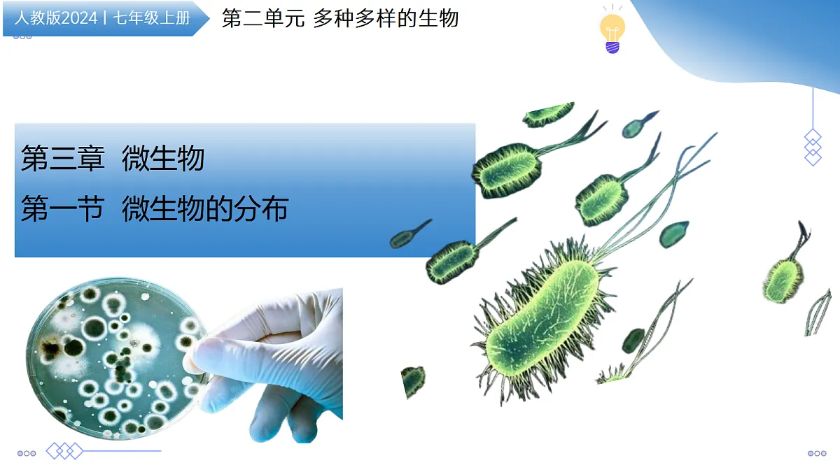 17534411第1页