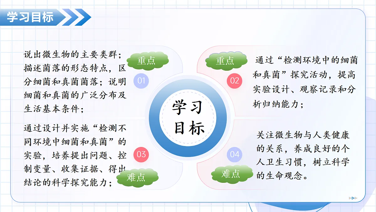 17534411第3页