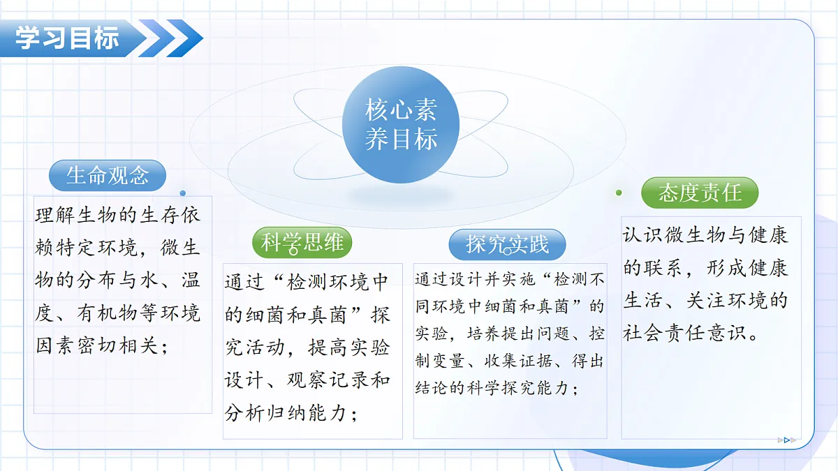 17534411第4页