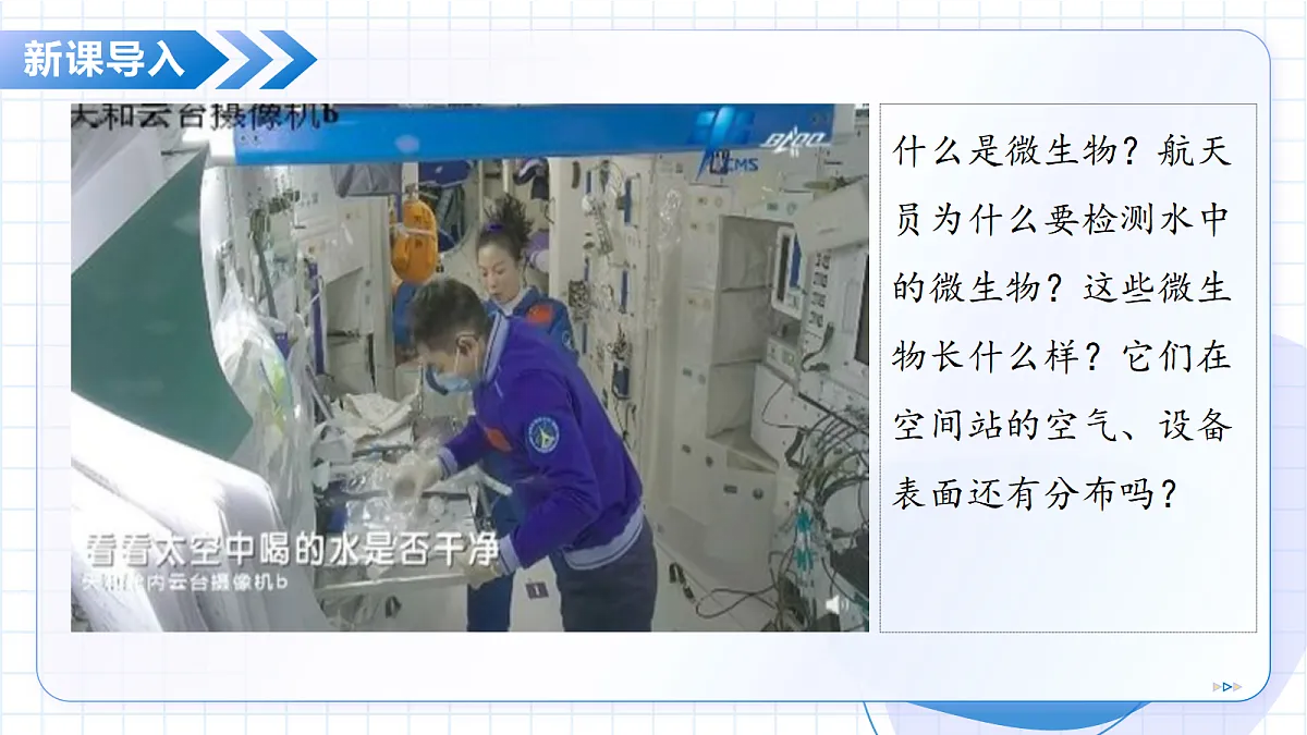 17534411第5页