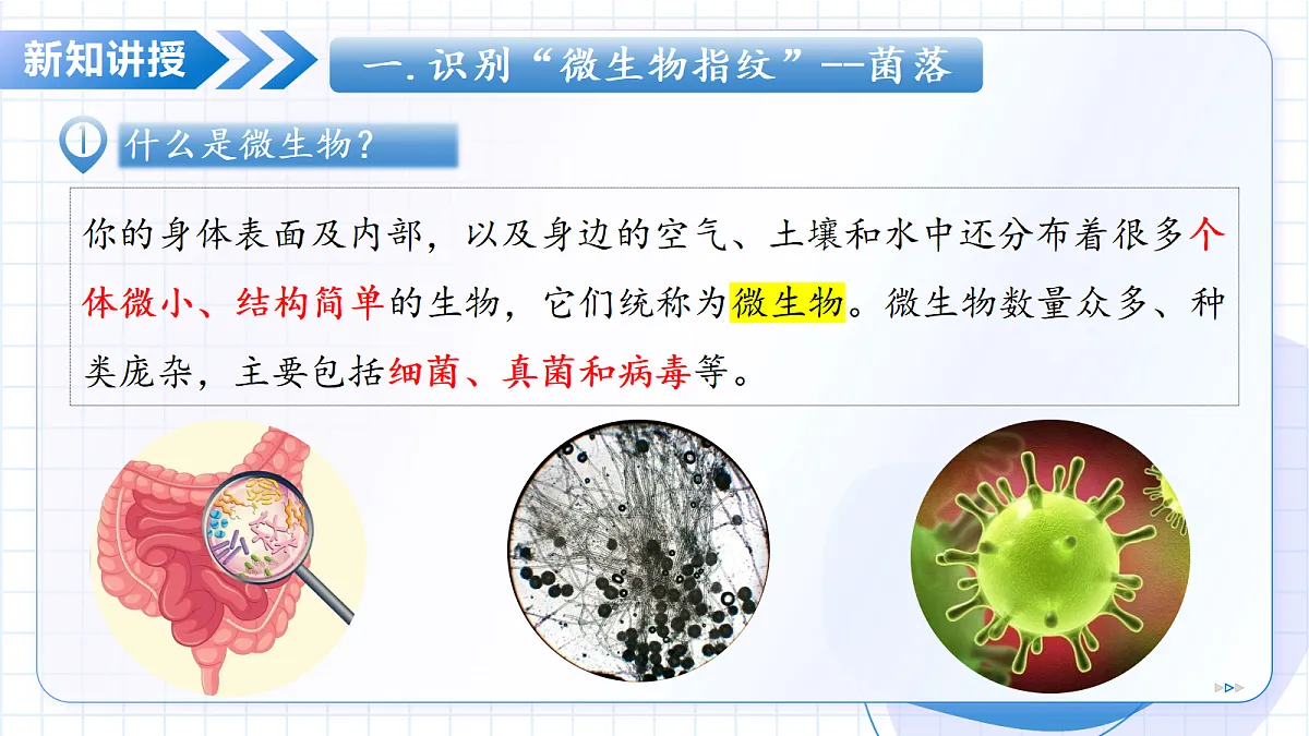 17534411第6页