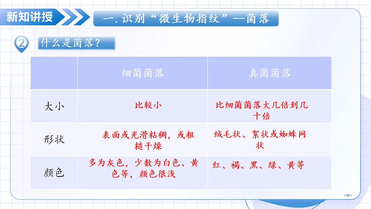 17534411第8页