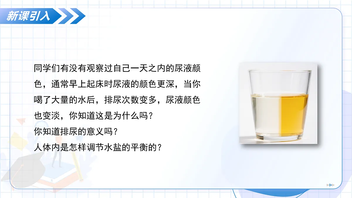 17534424第5页