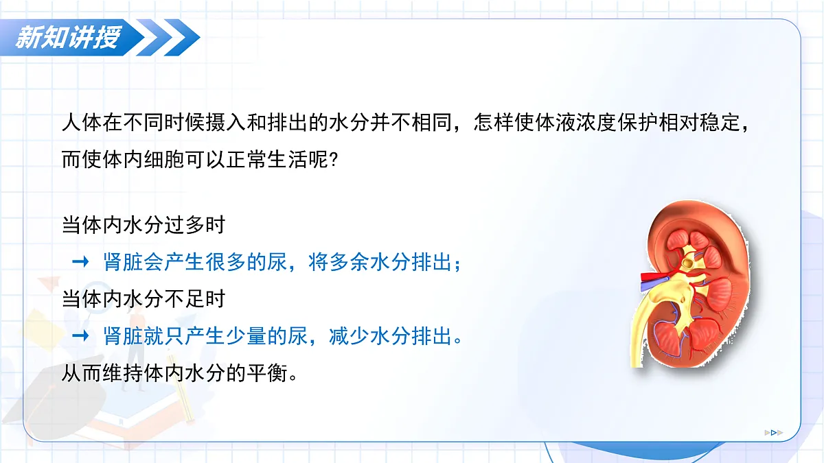 17534424第6页
