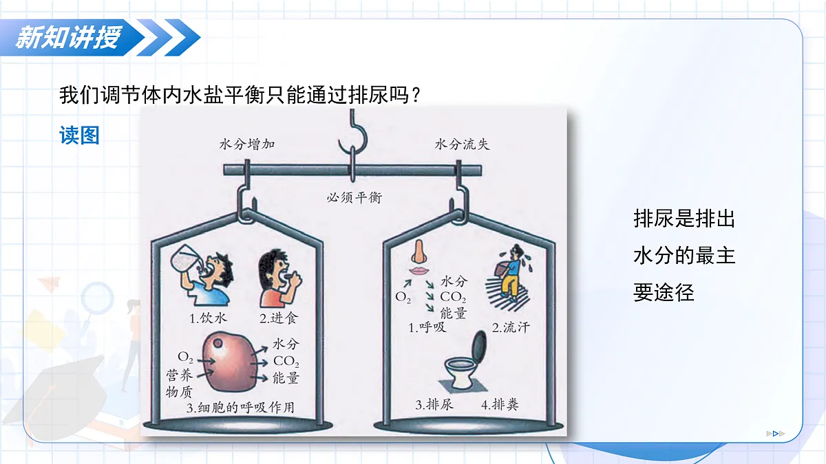 17534424第7页
