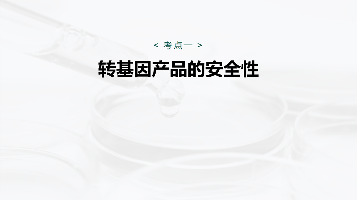 17534703第5页