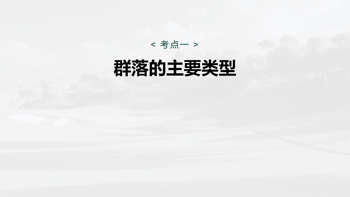 17534713第5页