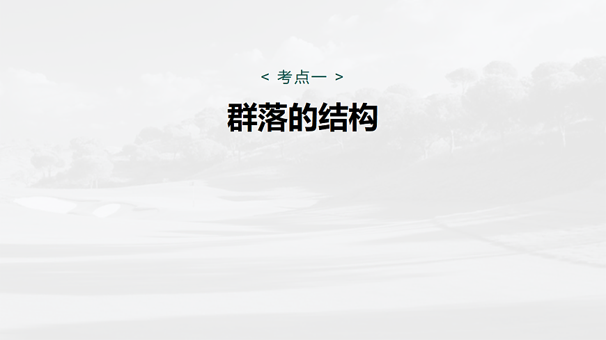 17534714第5页