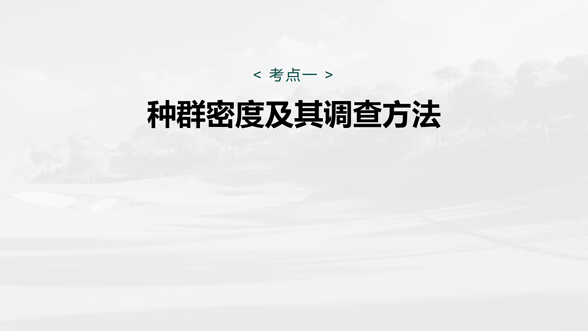 17534716第5页