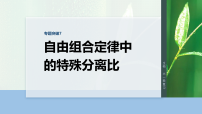 2026届高三生物(人教版)一轮课件第五单元专题突破7自由组合定律中的特殊分离比