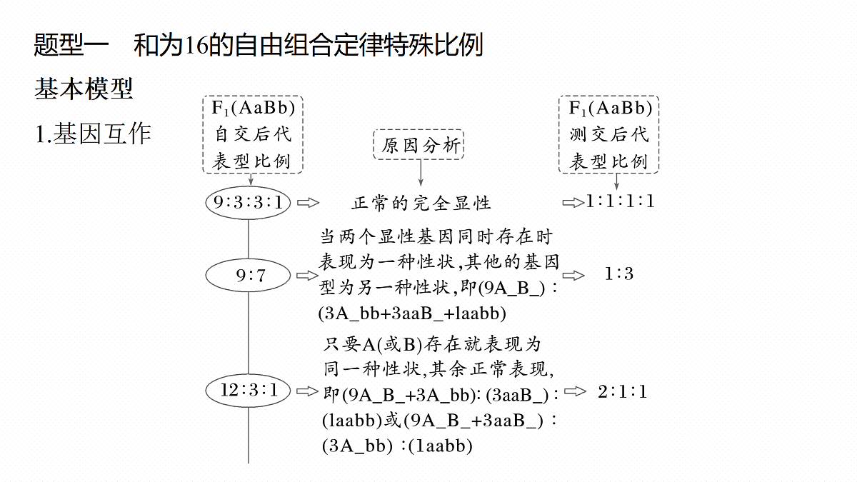 17534737第4页